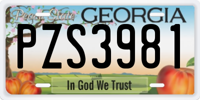 GA license plate PZS3981