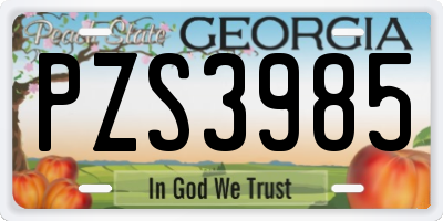 GA license plate PZS3985