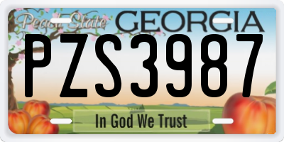 GA license plate PZS3987