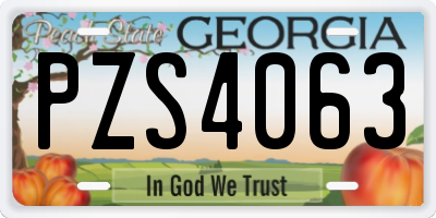 GA license plate PZS4063