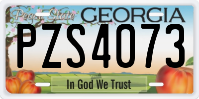 GA license plate PZS4073