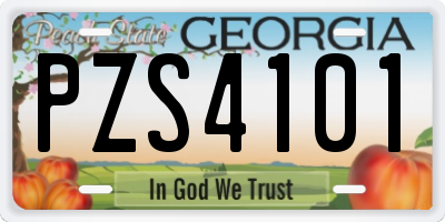GA license plate PZS4101