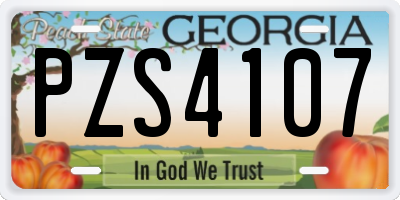 GA license plate PZS4107