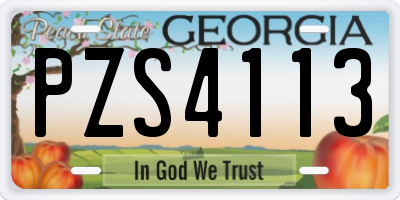 GA license plate PZS4113