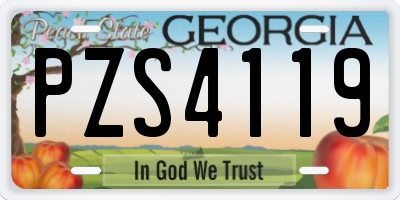 GA license plate PZS4119