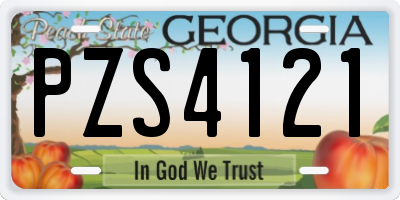 GA license plate PZS4121