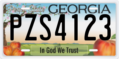 GA license plate PZS4123