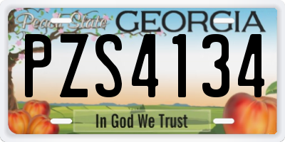 GA license plate PZS4134