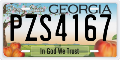GA license plate PZS4167