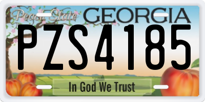 GA license plate PZS4185