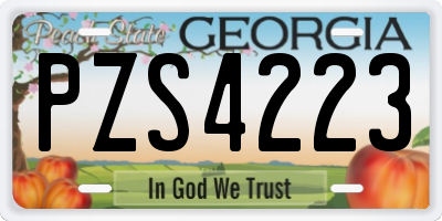 GA license plate PZS4223
