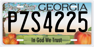 GA license plate PZS4225