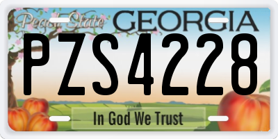 GA license plate PZS4228