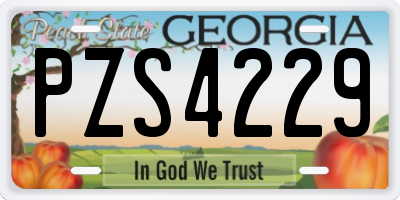 GA license plate PZS4229