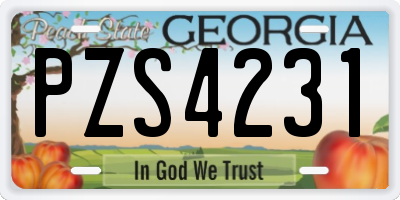 GA license plate PZS4231