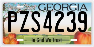 GA license plate PZS4239