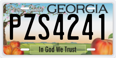 GA license plate PZS4241