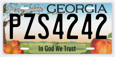 GA license plate PZS4242