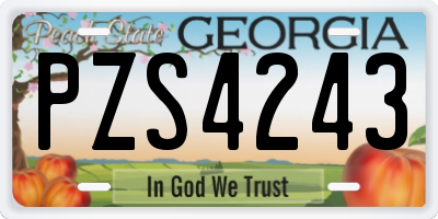 GA license plate PZS4243