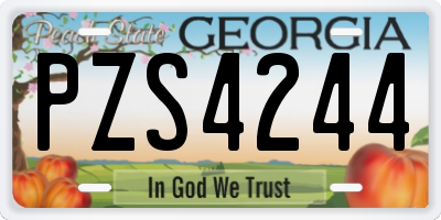GA license plate PZS4244