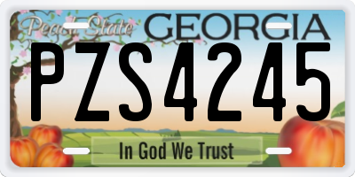 GA license plate PZS4245
