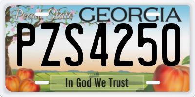 GA license plate PZS4250
