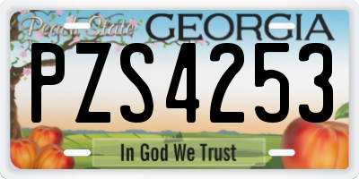 GA license plate PZS4253