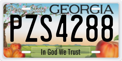 GA license plate PZS4288