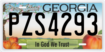 GA license plate PZS4293