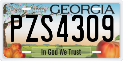 GA license plate PZS4309
