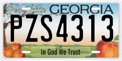 GA license plate PZS4313