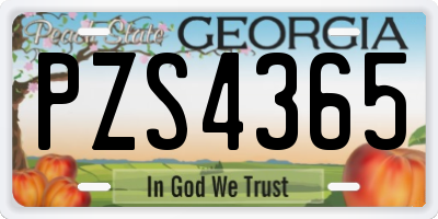 GA license plate PZS4365