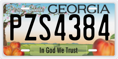 GA license plate PZS4384