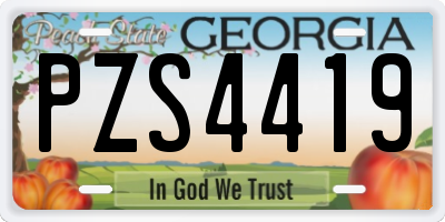 GA license plate PZS4419