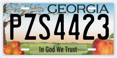 GA license plate PZS4423