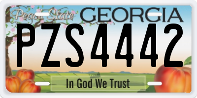 GA license plate PZS4442