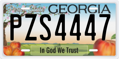 GA license plate PZS4447