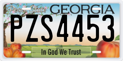 GA license plate PZS4453