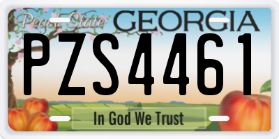 GA license plate PZS4461