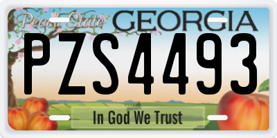 GA license plate PZS4493