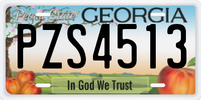 GA license plate PZS4513