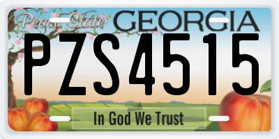 GA license plate PZS4515