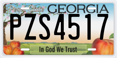GA license plate PZS4517