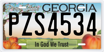 GA license plate PZS4534