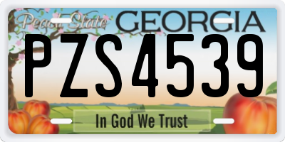 GA license plate PZS4539