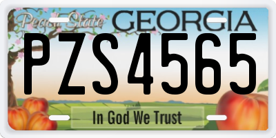 GA license plate PZS4565