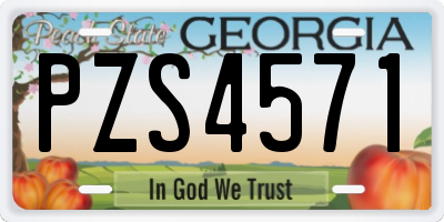 GA license plate PZS4571