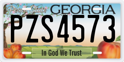 GA license plate PZS4573