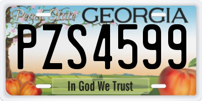 GA license plate PZS4599