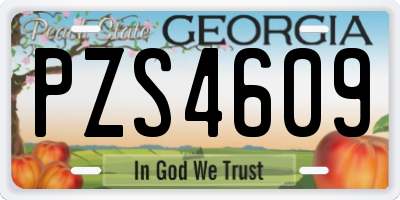 GA license plate PZS4609